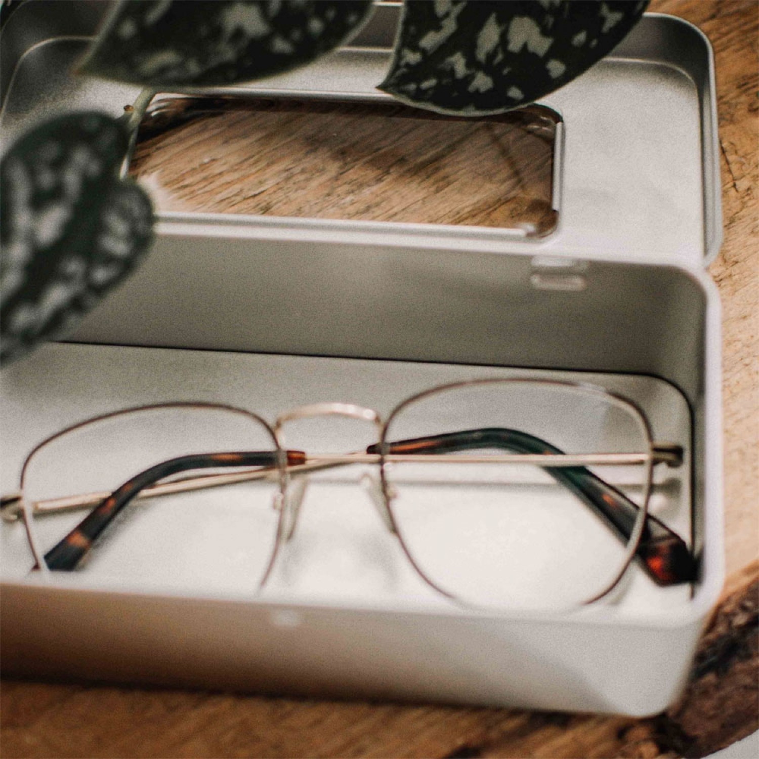 Brillenetui aus Weißblech mit Sichtfenster & Scharnierdeckel » Tindobo
