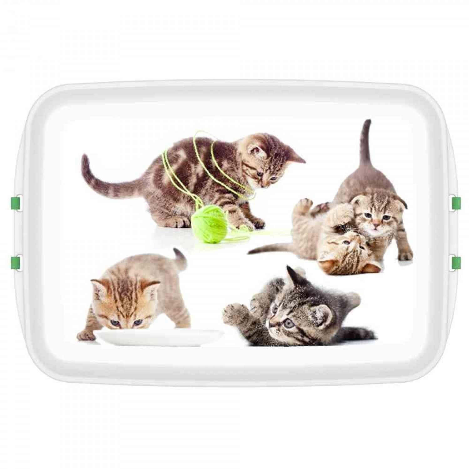 Biokunststoff Lunchbox mit Katzenmotiv » Biodora