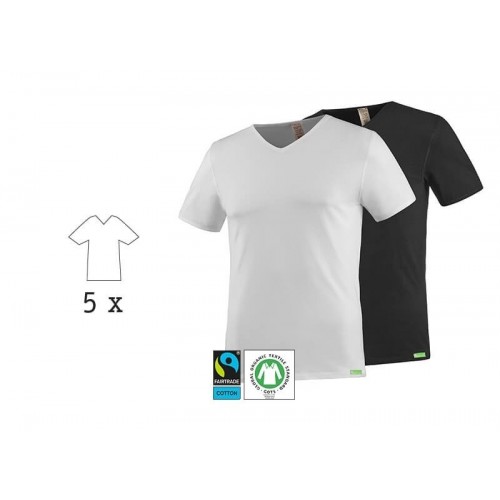 kleiderhelden SoulShirt Bio fairtrade T-Shirt, V-Neck (5 St.)