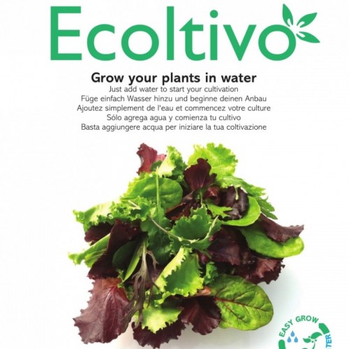 Gemischter Salat Smart Garden fürs Büro | Ecoltivo