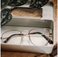 Brillenetui aus Weißblech mit Sichtfenster & Scharnierdeckel » Tindobo