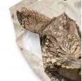 Männer-Badeshorts 'Echsen Print' aus Recycling-Polyester » earlyfish