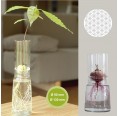 Nachhaltiges Keimglas-Set langer Aufsatz mit Blume des Lebens » Small Greens