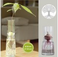Small Greens Anzuchtglas-Set Lebensbaum & langer Aufsatz