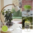 Selbstbewässerungstopf Basic aus Glas » Small Greens
