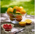 Nature’s Design Glas Schale Cotula für Obst & Dessert