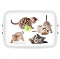 Biokunststoff Lunchbox mit Katzenmotiv » Biodora