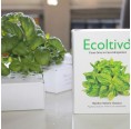 Basilikum Hydrokultur Pflanzset für Zuhause | Ecoltivo