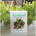 Gemischter Salat Smart Garden fürs Büro | Ecoltivo