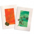 Öko Grußkarten ELEMENTE 2er-Set » Sundara Paper Art
