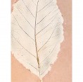 Sundara Paper Art Wandposter Leaf Creme - Fairtrade Fine Art