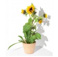 Sprout Sonnenblume Bleistift zum Einpflanzen