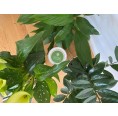 SNÄGG Bio-Universaldünger für Zimmerpflanzen & Gartenpflanzen