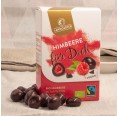 Landgarten Bio Naschfrüchte Himbeere liebt Zartbitterschokolade