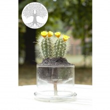 Selbstbewässerungstopf aus Glas mit Lebensbaum Symbol – Ø 130 mm