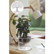 Selbstbewässerungstopf aus Glas mit Lebensbaum Symbol – Ø 160 mm