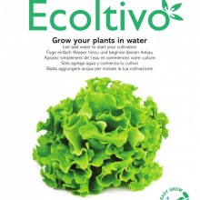 Ricciolina Salat Hydrokultur Pflanzset für Indoor Salatzucht