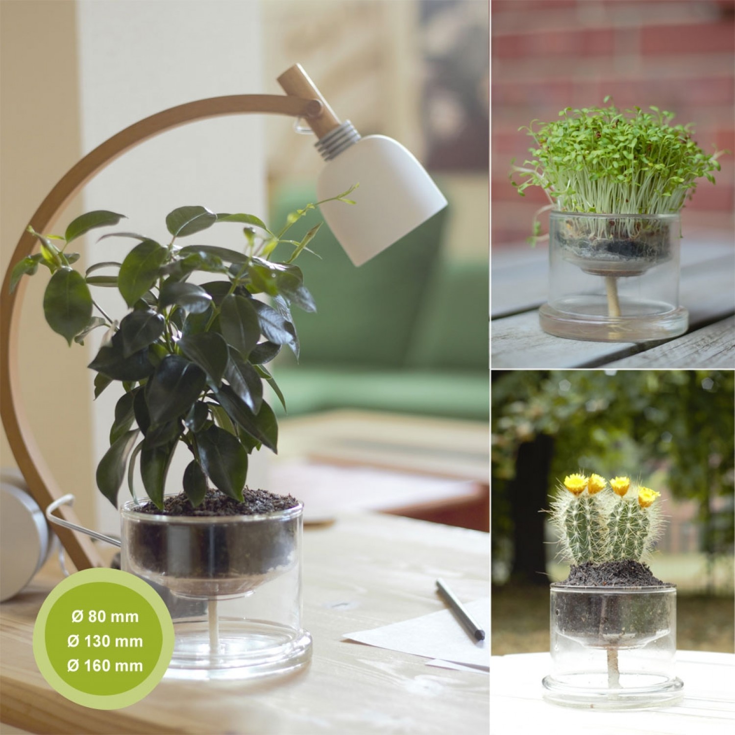 Self-Watering Glass Planters Basic » Small Greens