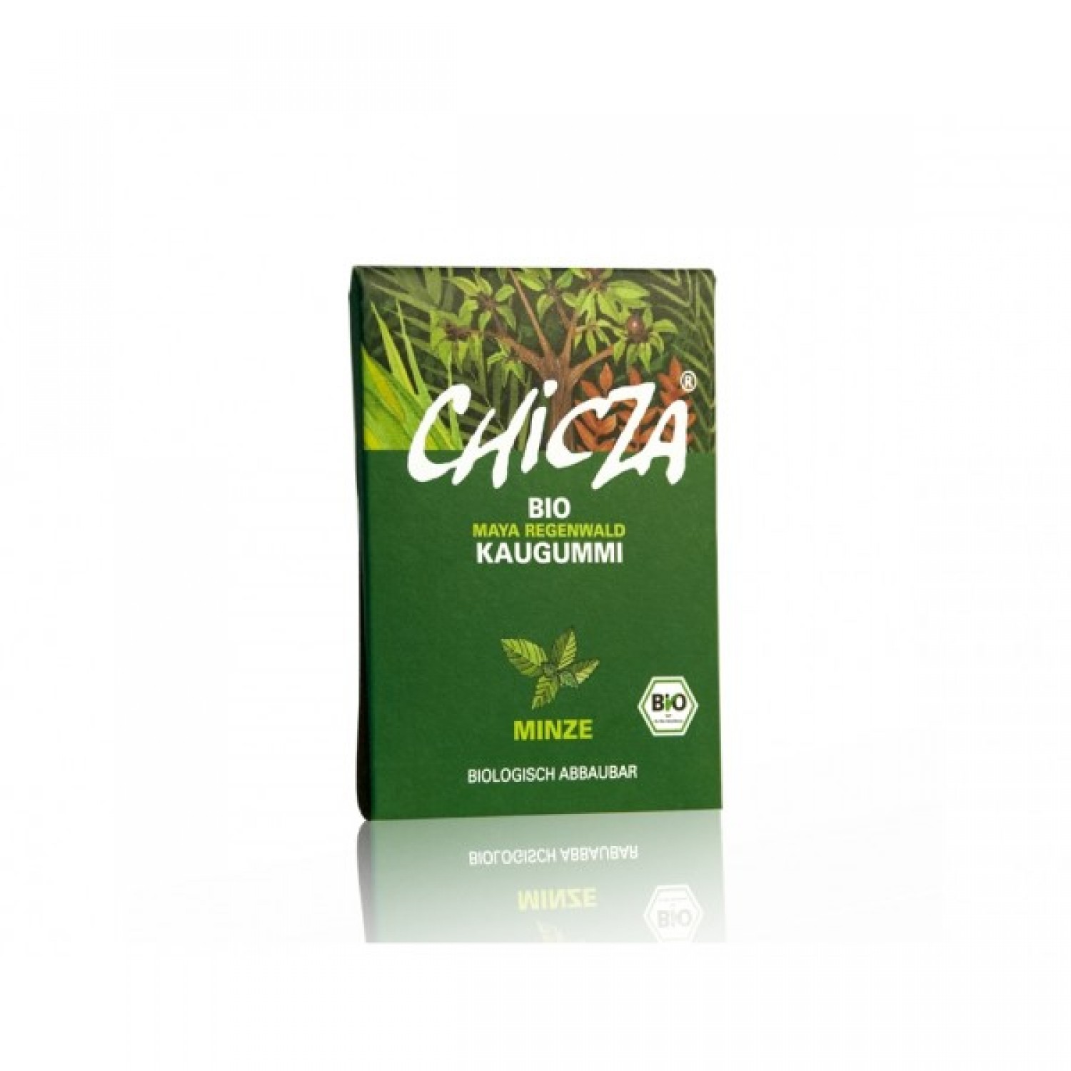 Organic Mayan Chewing Gum Mint from Chicza