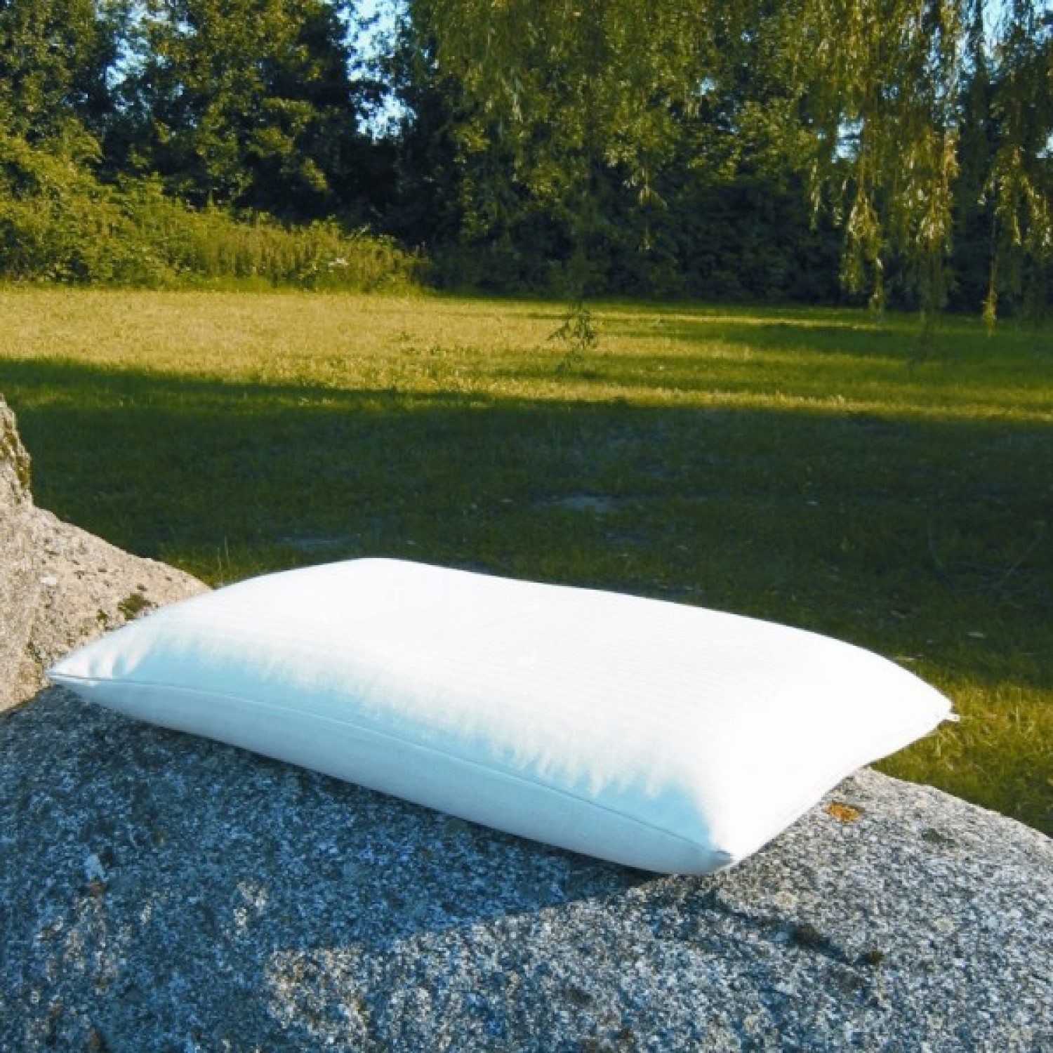 Pillow with Organic Spelt & Organic Cotton