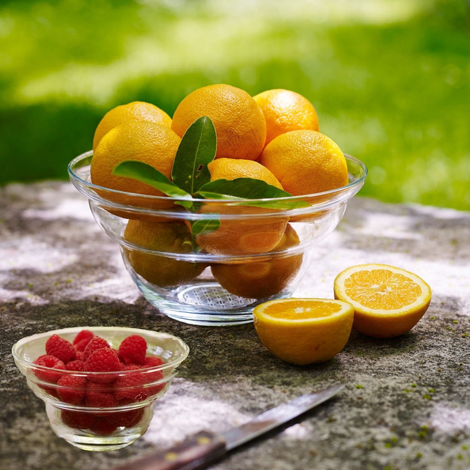 Nature’s Design Glass Bowl Cotula for fruits & dessert
