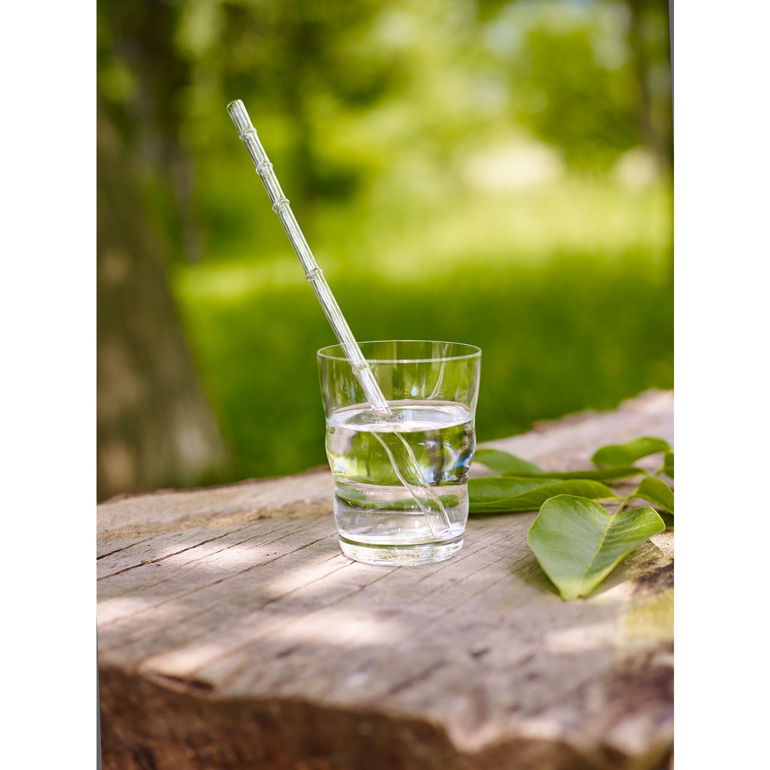 Nature's Design Drinking Straw CALAMUS of lead-free glass