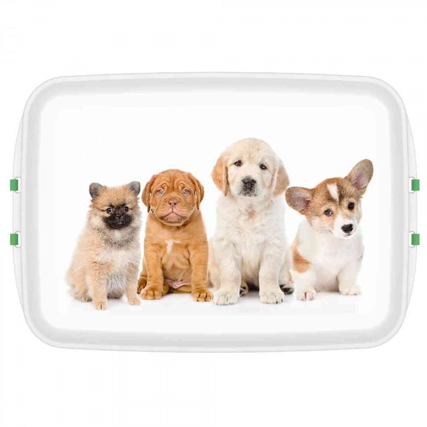 Bioplastics Lunchbox with Dog Motif » Biodora