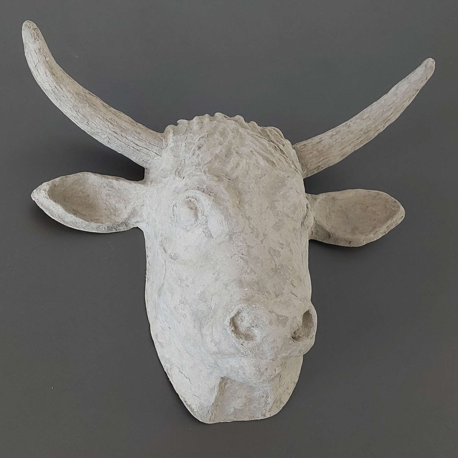 Eco Papier-Mâché Bull Skull in Concrete Look » Blumenfisch