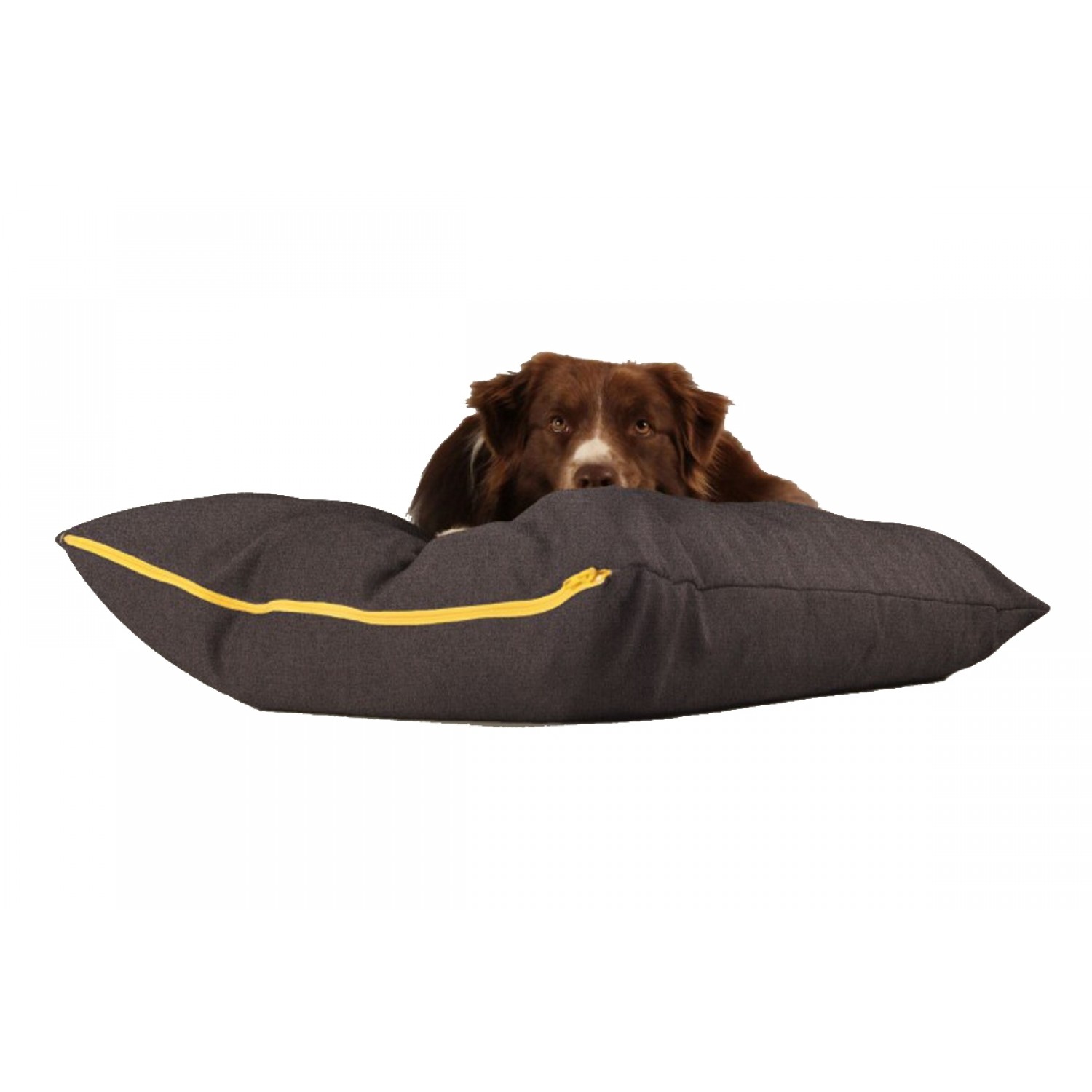 BUDDY Dog Pillow brown/grey, sustainable resting place for dogs 