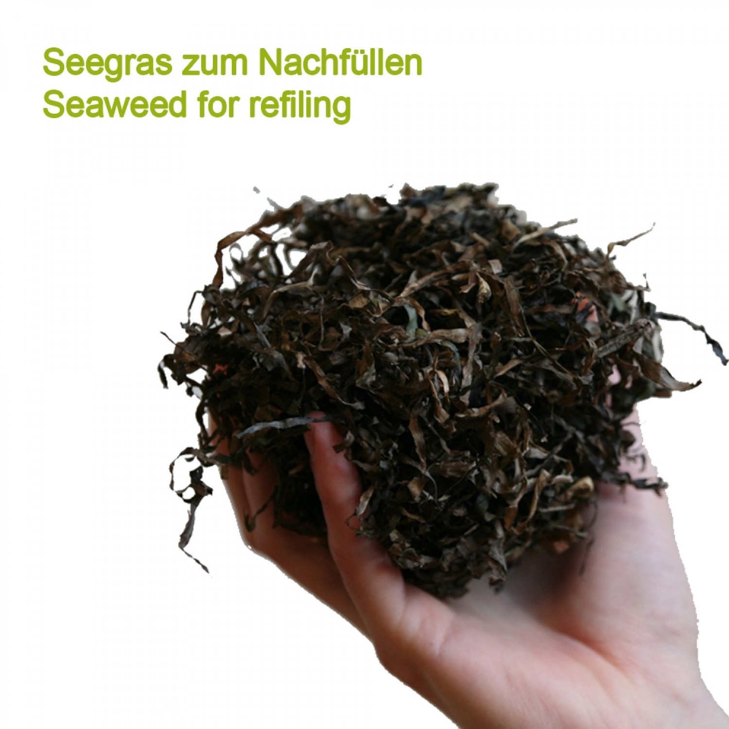 Wild harvesting seaweed with natural rubber refilling bags | speltex