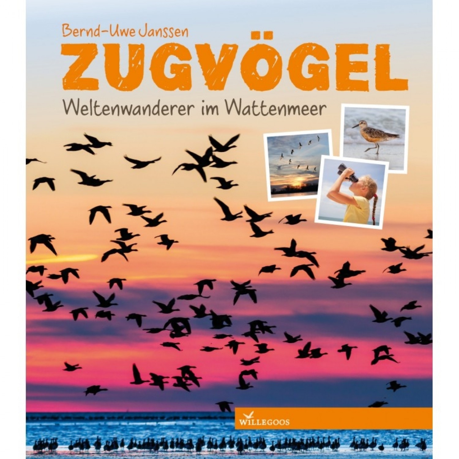 Migrating Birds - German factual children’s book | Willegoos
