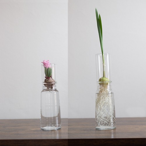 Small-Greens Glass Planter Bulb Bottles Ø 9 cm