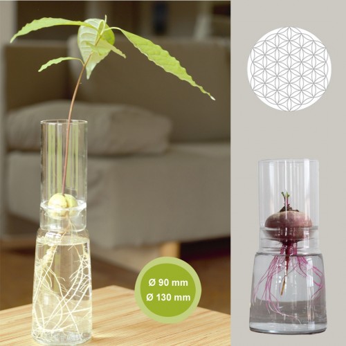 Eco Glass Planter Bulb Vases High Top & Flower of Life » Small Greens