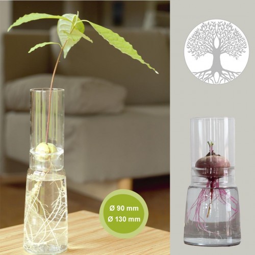 Small Greens Glass Planter Bulb Vases Tree of Life & high top