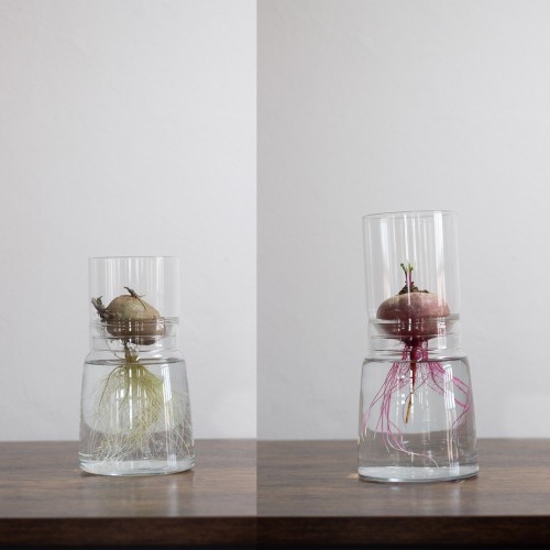 Small-Greens Glass Planter Bulb Vases Ø 13 cm
