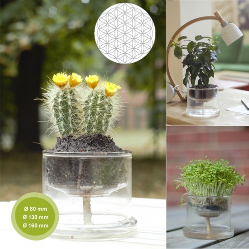 Small Greens self-watering Glass Planters Flower of Life