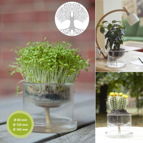 Self-Watering Glass Planters Tree of Life » Small Greens