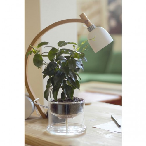 Self-Watering Glass Planters Basic Ø 160 mm » Small Greens