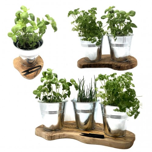 Galvanized Herb Pots on Olive Wood Tray » D.O.M.