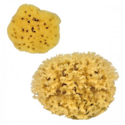 Natural Sponges - Bath Sponges for sensitive skin | Croll & Denecke
