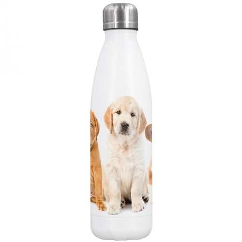 Cute DOG Stainless Steel Thermo Water Bottle » Dora‘s