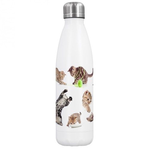 Cute CAT Stainless Steel Thermo Water Bottle » Dora‘s