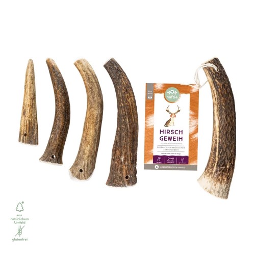 Natural Whole Deer Antler Chew for Dogs » naftie