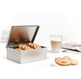 Eco-friendly Angular Biscuit Tin, hinged lid » Tindobo
