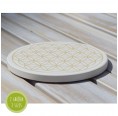 Round Diatomaceous Earth Coaster Flower of Life » Small Greens