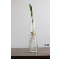 Small-Greens Glass Planter Bulb Vase Ø 9 cm, hight top