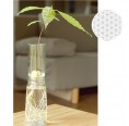 Glass Planter Bulb Vases with high top & Flower of Life Ø 90 mm from Small-Greens