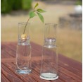 Small-Greens glass planter bulb vase