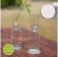 Eco Glass Germinator with Low Top & Flower of Life » Small Greens