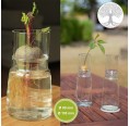 Glass Planter Bulb Vases Tree of Life & low top » Small Greens